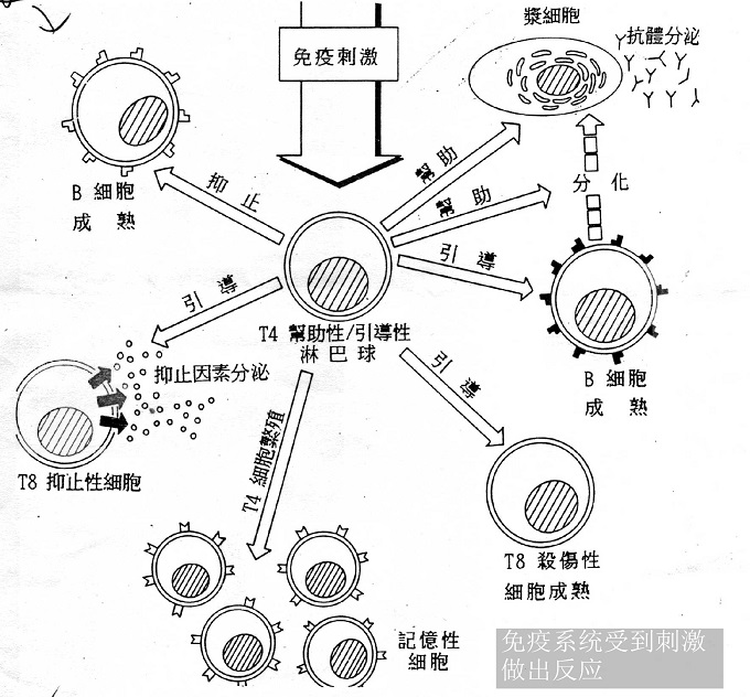 特靈中央空調(diào)官網(wǎng)售后