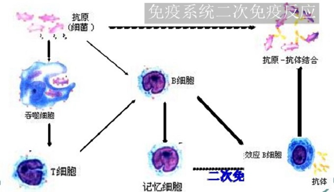 電磁爐上能放較重的鍋嗎