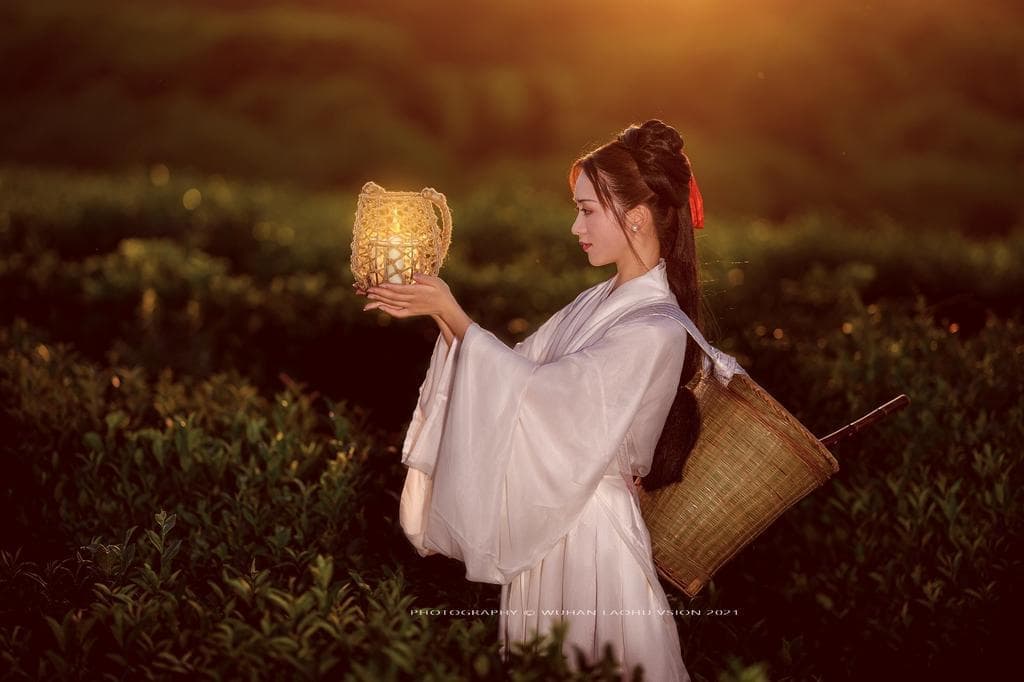 氣動(dòng)閥和截止閥的區(qū)別圖片
