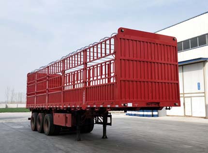 tcll40e9fbd