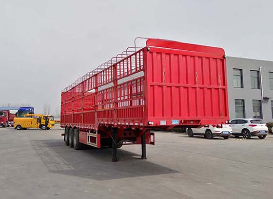 tclAT25211AV無(wú)圖有聲